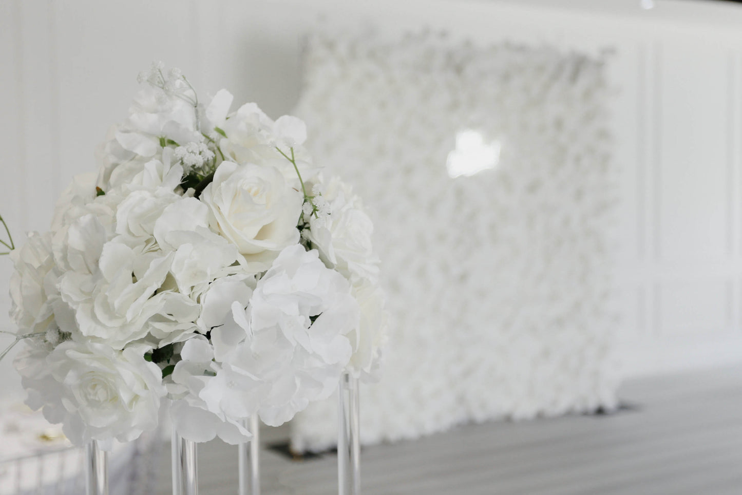 2. PLATINUM PACKAGE - EMAIL FOR PRICE